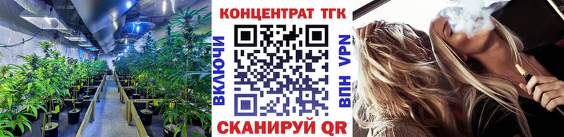 где найти   Сычёвка  kraken вход  ТГК концентрат 