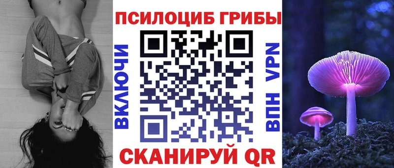 гидра ССЫЛКА  Сычёвка  Псилоцибиновые грибы прущие грибы 